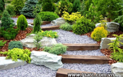 THIẾT KẾ THI CÔNG SÂN VƯỜN