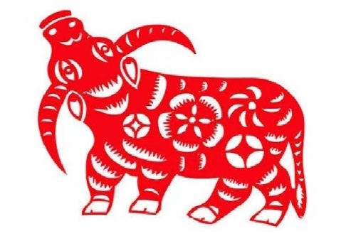 Hướng dẫn chọn hướng nhà phố đẹp cho gia chủ Ất Sửu 1985